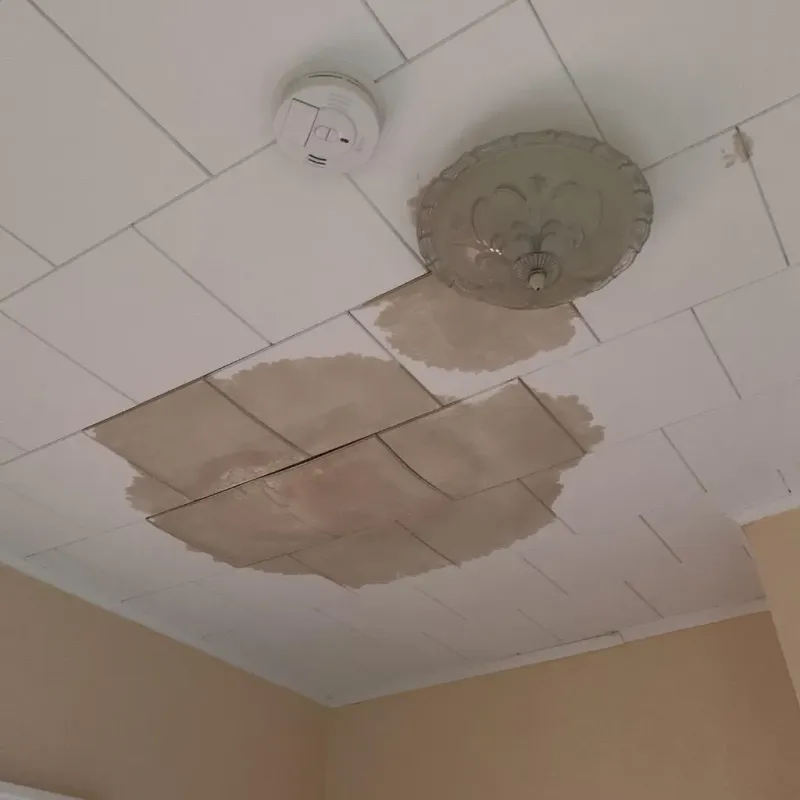 Ceiling Water Damage Repair in Pearl, MS