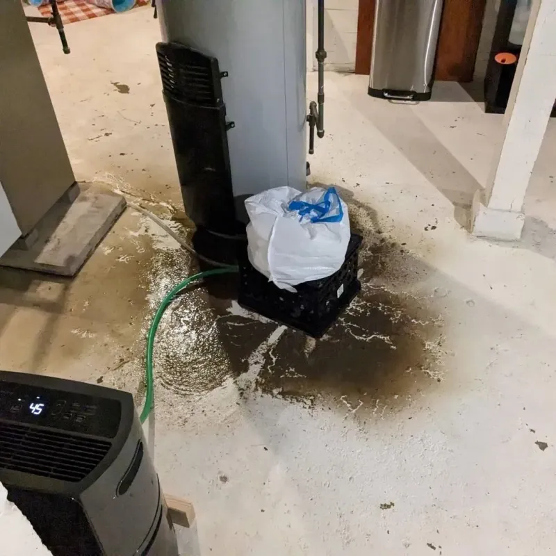 Sewage Backup Cleanup Service in Pearl, MS